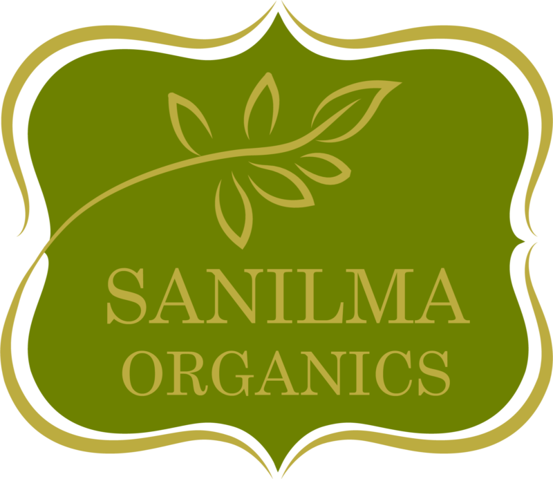 Sanilma-Logo-800x693